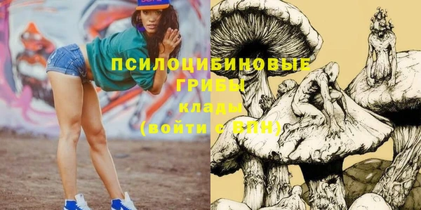 a pvp Ельня