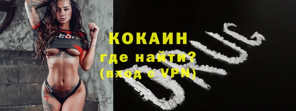 a pvp Ельня