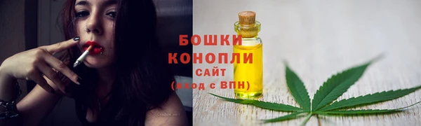 ешки Елабуга
