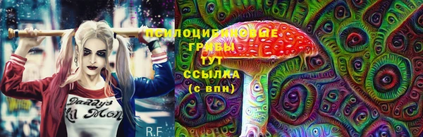 a pvp Ельня