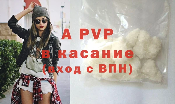 спиды Елизово