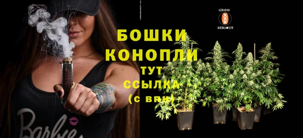 a pvp Ельня